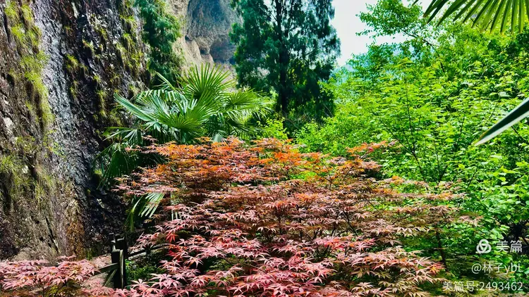 雁荡山记（二）